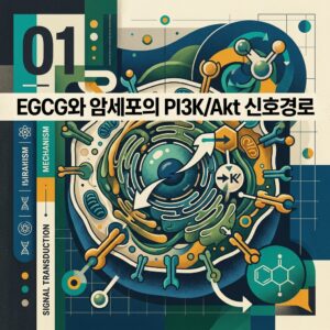 ai thumbnail poster EGCG와 암세포의 PI3KAkt 신호경로 1786832944