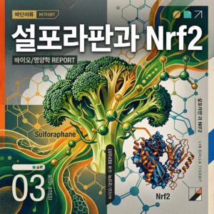 ai thumbnail poster 설포라판과 Nrf2 1786831723