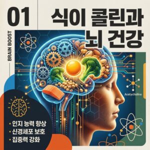 ai thumbnail poster 식이 콜린과 뇌 건강 1786836033