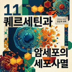 ai thumbnail poster 퀘르세틴과 암세포의 세포사멸 1786833062