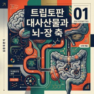 ai thumbnail poster 트립토판 대사산물과 뇌 장 축 1786836236