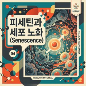 ai thumbnail poster 피세틴과 세포 노화Senescence 1786833734